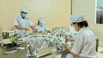 Повышение статуса местной сельскохозяйственной продукции в Хайфоне.