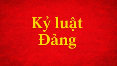 Dak Lak: Three Party members expelled for causing very serious consequences.