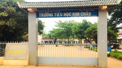 Female principal dismissed for directing the falsification of signatures to legitimize documents.