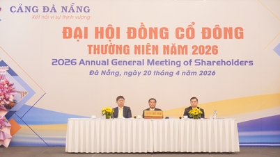 Da Nang Port aims for sustainable growth and accelerates its progress towards a green and smart port.