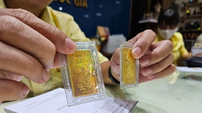 আজ, ২১শে এপ্রিল ২০২৬, দুপুর ১২টার সোনার দামের হালনাগাদ: এসজেসি (SJC) সোনার দাম, বিটিএমসি (BTMC), বিটিএমএইচ (BTMH), ডজি (DOJI) সোনার আংটি এবং বিশ্বজুড়ে সোনার দাম।