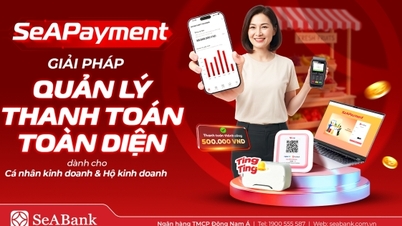 SeABank نے موثر کیش فلو مینجمنٹ کو سپورٹ کرنے کے لیے SeAPayment کا آغاز کیا۔