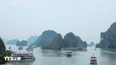 Tàu chạy tuyến vịnh Hạ Long-Lan Hạ chính thức đi vào hoạt động