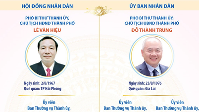 Puestos clave de liderazgo en la ciudad de Hai Phong para el período 2026-2031.