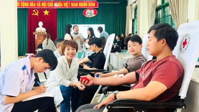 Estudantes do Da Lat College doaram 169 unidades de sangue.