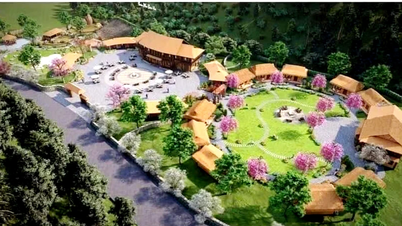 Bac Ha: سرمایہ کاری کو راغب کرنے اور کامیابیوں کے لیے رفتار پیدا کرنے کے متعدد حل۔