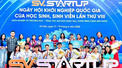 Lao Cai نے "Students and Young Entrepreneurs with Startup Ideas" مقابلے میں 3 تیسرے انعام جیتے۔