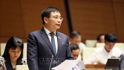 Místopředseda vlády Nguyen Van Thang zdůraznil potřebu inovovat model růstu pro udržitelný rozvoj.