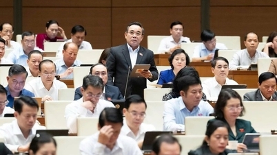 国会議員：「公共投資プロジェクトは『甘いスターフルーツの房』ではない。」