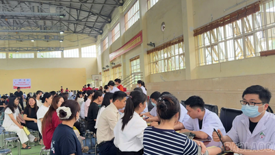 Der Zweigcampus der Thai Nguyen Universität in Lao Cai organisiert im Jahr 2026 eine Blutspendeaktion.