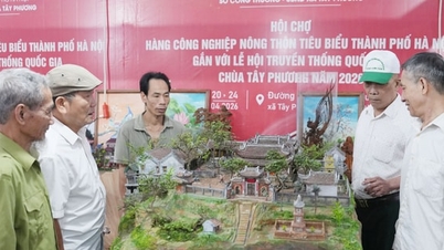 La persona che "preserva l'anima" della pagoda di Tay Phuong attraverso paesaggi in miniatura.