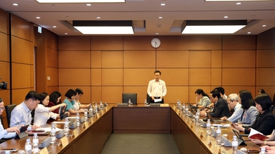 세입 결정, 신고 및 편익 추구를 위한 세입 분할 방지에 관한 법률 시스템의 일관성 확보.
