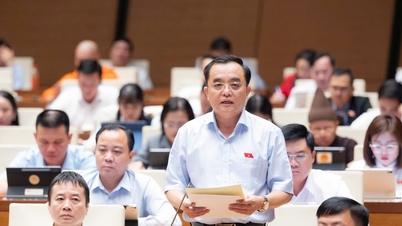 適切な優先順位を選択し、公共投資に資源を集中させることで、開発における画期的な進歩が生まれるだろう。