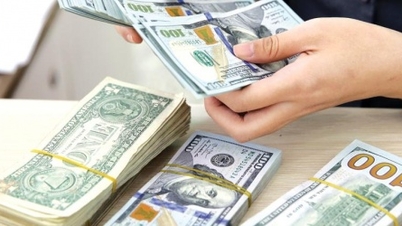 مدیریت ارز خارجی برای سرمایه‌گذاری خارجی در ویتنام: ابتدا مشارکت سرمایه، سپس صدور مجوز