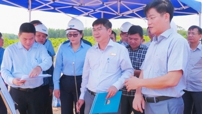 Quang Ngai acelera o processo de desapropriação de terras para dois projetos de parques industriais VSIP.