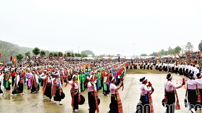 គីម បយ បង្កើតសន្ទុះសម្រាប់ការអភិវឌ្ឍទេសចរណ៍អេកូឡូស៊ី និងកសិកម្មបៃតង។