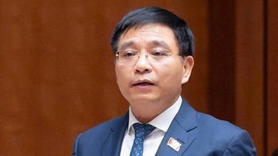 グエン・ヴァン・タン副首相は、国民のための定期健康診断計画について語った。
