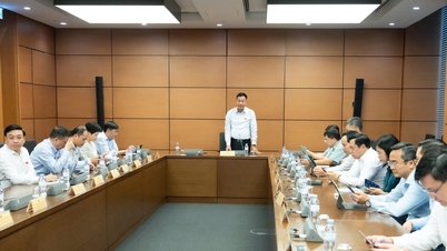 Xem xét ngưỡng doanh thu phù hợp, tránh tạo áp lực cho các hộ kinh doanh nhỏ