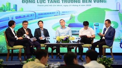 Chuyển đổi xanh: Doanh nghiệp kể chuyện xài điện mặt trời, điện sinh khối đến kinh tế tuần hoàn