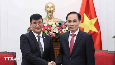 រដ្ឋមន្ត្រីការបរទេស លោក ឡេ ហ្វាយជុង ជួបជាមួយឯកអគ្គរដ្ឋទូតម៉ុងហ្គោលី។