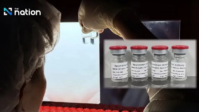 O nouă descoperire în tratamentul cancerului prin imunoterapie.