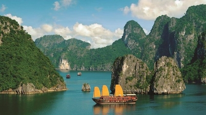 Phê duyệt nhiệm vụ lập Quy hoạch bảo tồn, phát huy tiềm năng vịnh Hạ Long đến năm 2035, tầm nhìn 2050
