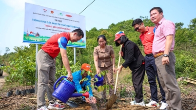 ກວາງຫງາຍ: ນຳເອົາສີຂຽວສົດໆກັບຄືນສູ່ທົ່ງຫຍ້າບຸ່ຍຮຸຍ.
