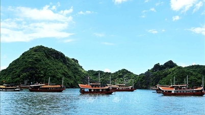 Koordynowanie zarządzania, ochrony i promocji wartości dziedzictwa kulturowego Zatoki Ha Long i Archipelagu Cat Ba.