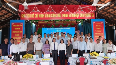 FPT sedang bekerjasama dengan Kementerian Kesihatan untuk menggunakan pangkalan data Kemudahan Bantuan Sosial Bandar Raya Ho Chi Minh, menandakan satu langkah ke hadapan dalam pendigitalan kebajikan sosial.