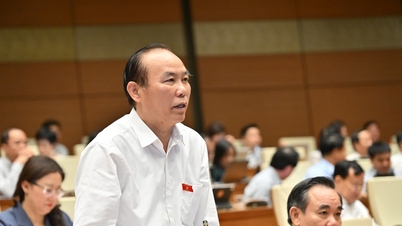 ຮອງສະພາແຫ່ງຊາດ ທ່ານ ຟູ່ງດຶກຕຽນ (ແຂວງ ແຄງຮວ່າ): ພວກເຮົາຈຳເປັນຕ້ອງເພີ່ມການລົງທຶນໃນກະສິກຳຢ່າງຫຼວງຫຼາຍ ເພື່ອເສີມສ້າງກະດູກສັນຫຼັງຂອງເສດຖະກິດ.