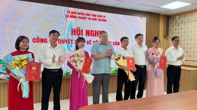ກະຊວງກະສິກຳ ແລະ ສິ່ງແວດລ້ອມ ໄດ້ຈັດກອງປະຊຸມເພື່ອປະກາດການຕັດສິນໃຈກ່ຽວກັບບັນຫາບຸກຄະລາກອນ.