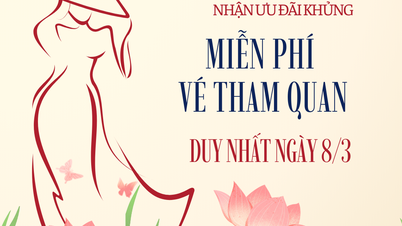 Indossare un ao dai al museo: offerta speciale per la Giornata internazionale della donna, l'8 marzo.