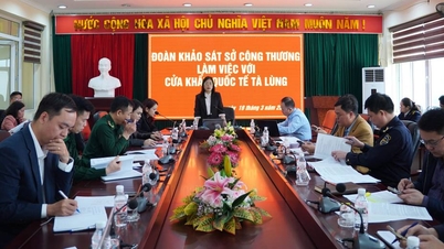 ການສຳຫຼວດພາກສະໜາມຢູ່ດ່ານຊາຍແດນສາກົນທ່າລຸງ, ຮັບໃຊ້ການປັບໂຄງສ້າງເສດຖະກິດການຄ້າຊາຍແດນ.