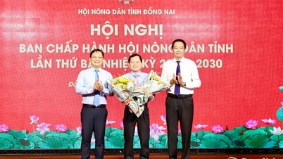 Do Phuoc Dung, vicevoorzitter van de provinciale coöperatieve unie, is verkozen tot vicevoorzitter van de provinciale boerenvereniging.