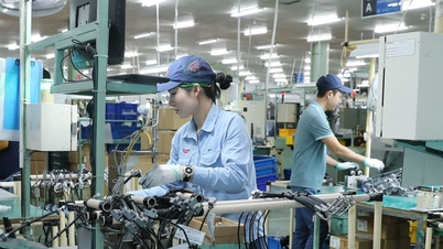 Bac Ninh: Özel ekonominin geliştirilmesi için temel görevleri ve çığır açan çözümleri net bir şekilde tanımlamak.