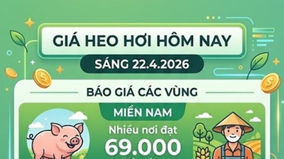 Harga daging babi hari ini, 22 April: Wilayah Selatan dan Lam Dong mempertahankan harga di 69.000 VND/kg.