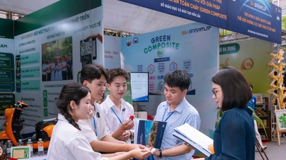 Des jeunes porteurs d'initiatives pour un environnement durable