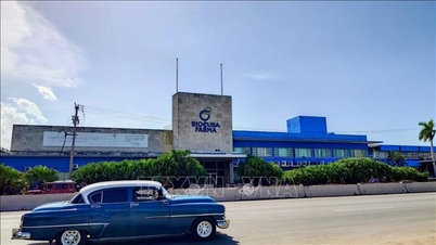 קידום שיתוף פעולה בין וייטנאם לקובה בתחום הביוטכנולוגיה.