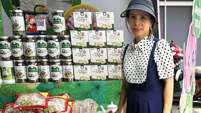 The journey of a creative woman in elevating the status of rice and lotus seeds.