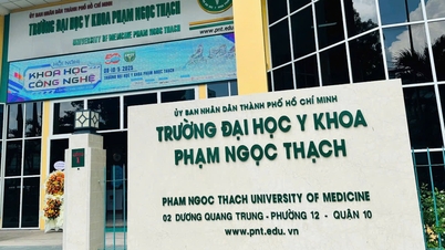 Die Pham Ngoc Thach Universität für Medizin hat mit der Rekrutierung von Studierenden für ihr Psychologieprogramm begonnen.