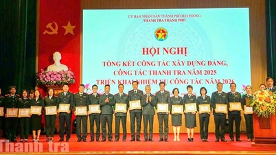 Hai Phong: Melengkapkan platform digital untuk menyokong aktiviti pemeriksaan.