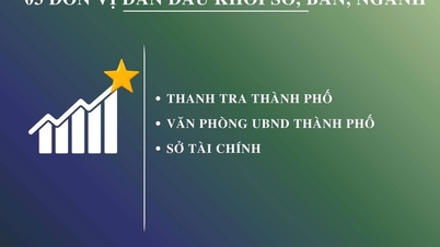 Inspektorat Bandar Hai Phong menduduki tempat pertama dalam indeks pembaharuan pentadbiran antara jabatan dan agensi bandar.