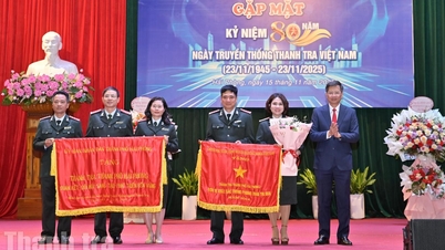 Inspektorat Hai Phong telah menganjurkan sambutan ulang tahun ke-80 Hari Tradisional Inspektorat Vietnam.