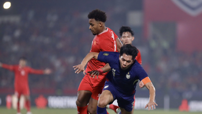 Le sélectionneur de l'équipe nationale thaïlandaise révèle les facteurs clés des chances du Vietnam de remporter la Coupe AFF.