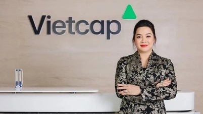 Durch Investitionen in FPT-Aktien hat das Wertpapierunternehmen von Frau Nguyen Thanh Phuong vorübergehend über 29 % an Wert verloren.