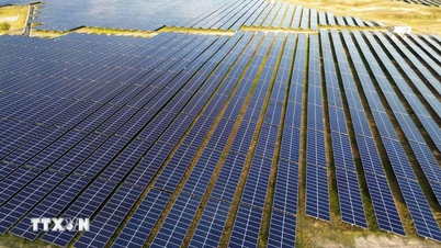 Ngày Trái Đất 2026: Những thách thức không chỉ từ môi trường