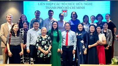 Łączenie zasobów międzynarodowych w celu wzmocnienia ochrony praw dziecka w Ho Chi Minh City.