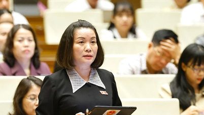 ドンナイ市が中央政府直轄都市となり、東南アジア地域全体の原動力となる。