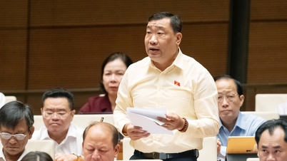 Projeto de Resolução da Assembleia Nacional sobre o Desenvolvimento da Cultura Vietnamita: Somente quando o patrimônio "vive" dentro da comunidade é que ele adquire força duradoura.