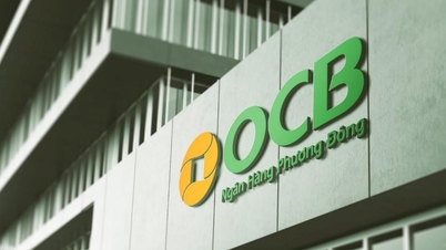 OCB의 2026년 1분기 순이익은 1조 2240억 VND에 달해 인상적인 성장세를 기록했습니다.